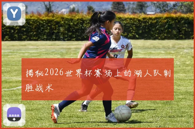 揭秘2026世界杯赛场上的湖人队制胜战术